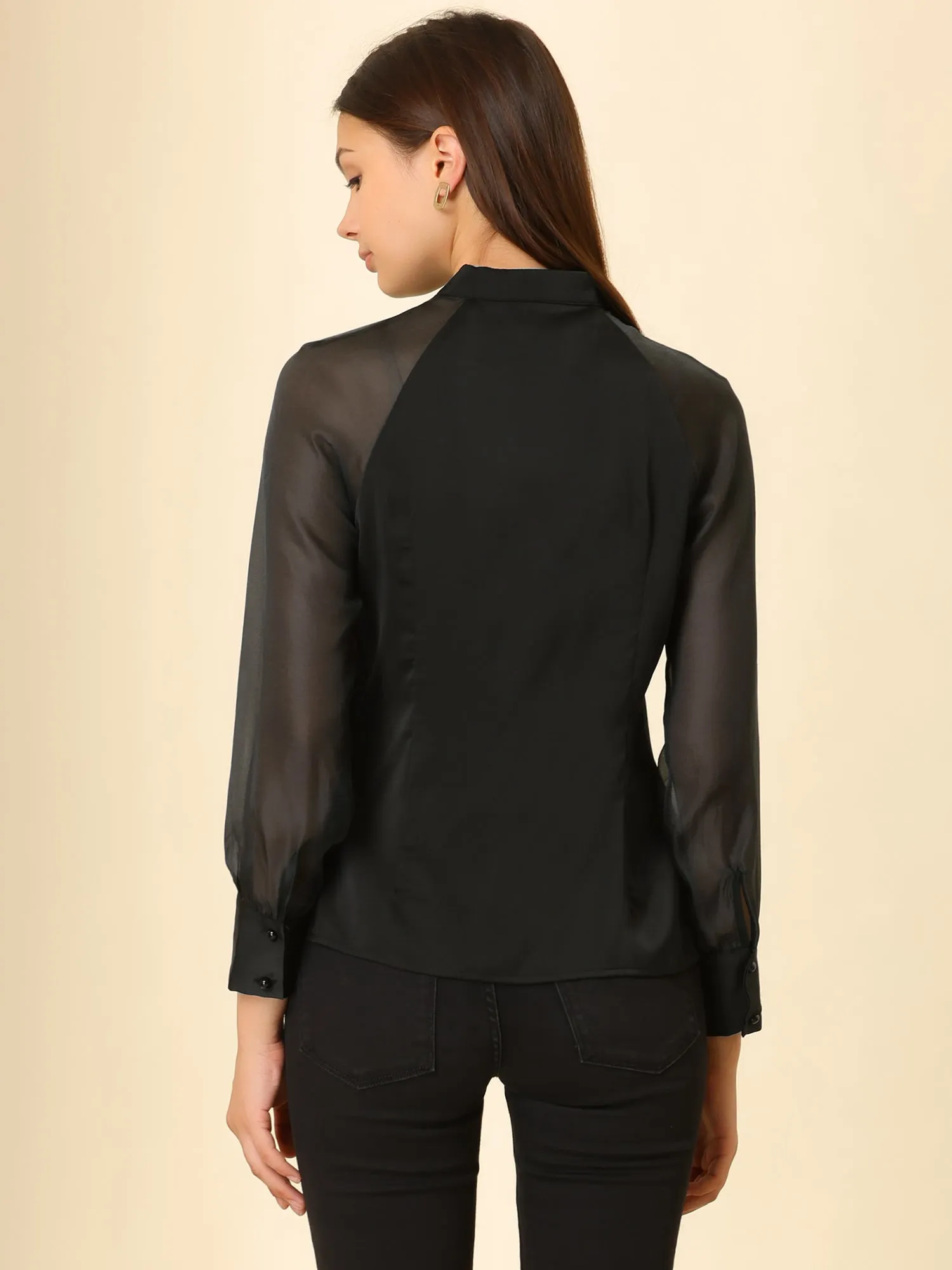Long Sleeve Keyhole Neck Sheer Satin Blouse sold by Allegra K product image thumbnail 5