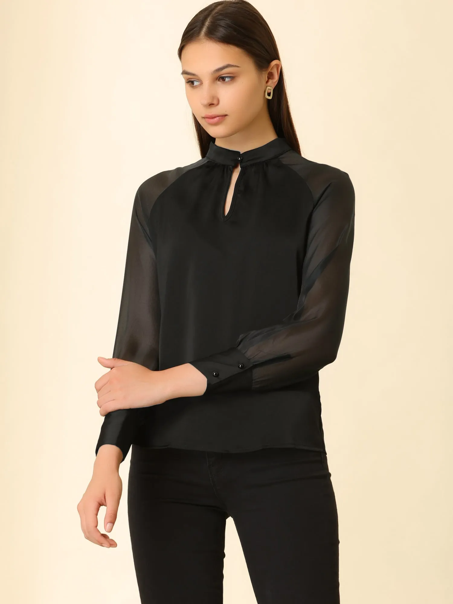 Long Sleeve Keyhole Neck Sheer Satin Blouse sold by Allegra K product image thumbnail 3