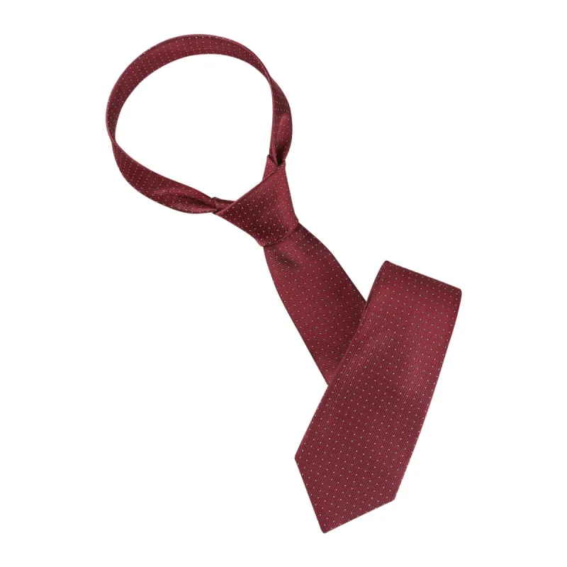 Formal Ties Self Tie Business Dotted Necktie for Men sold by Allegra K