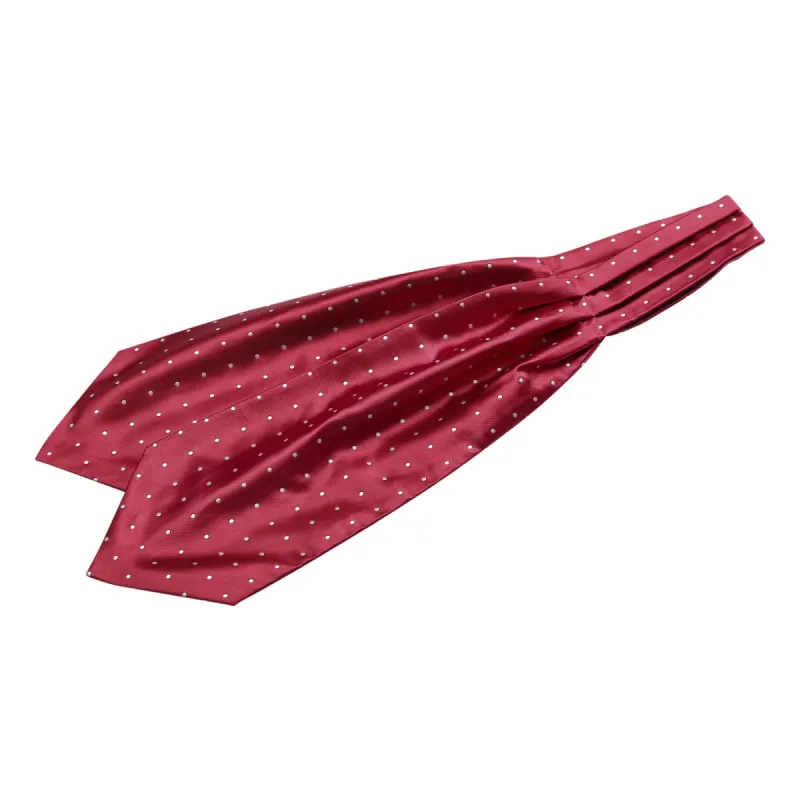 Men's Cravat Ties Self Tied Wedding Polka Dots Ascot Tie made by Allegra K