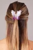 Purple Butterfly Claw Clip sold by Ally Fashion
