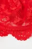 Red Lace Lingerie Set sold by Ally Fashion