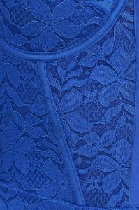 Blue Corset Top Sleeveless Lace Bodysuit sold by Ally Fashion