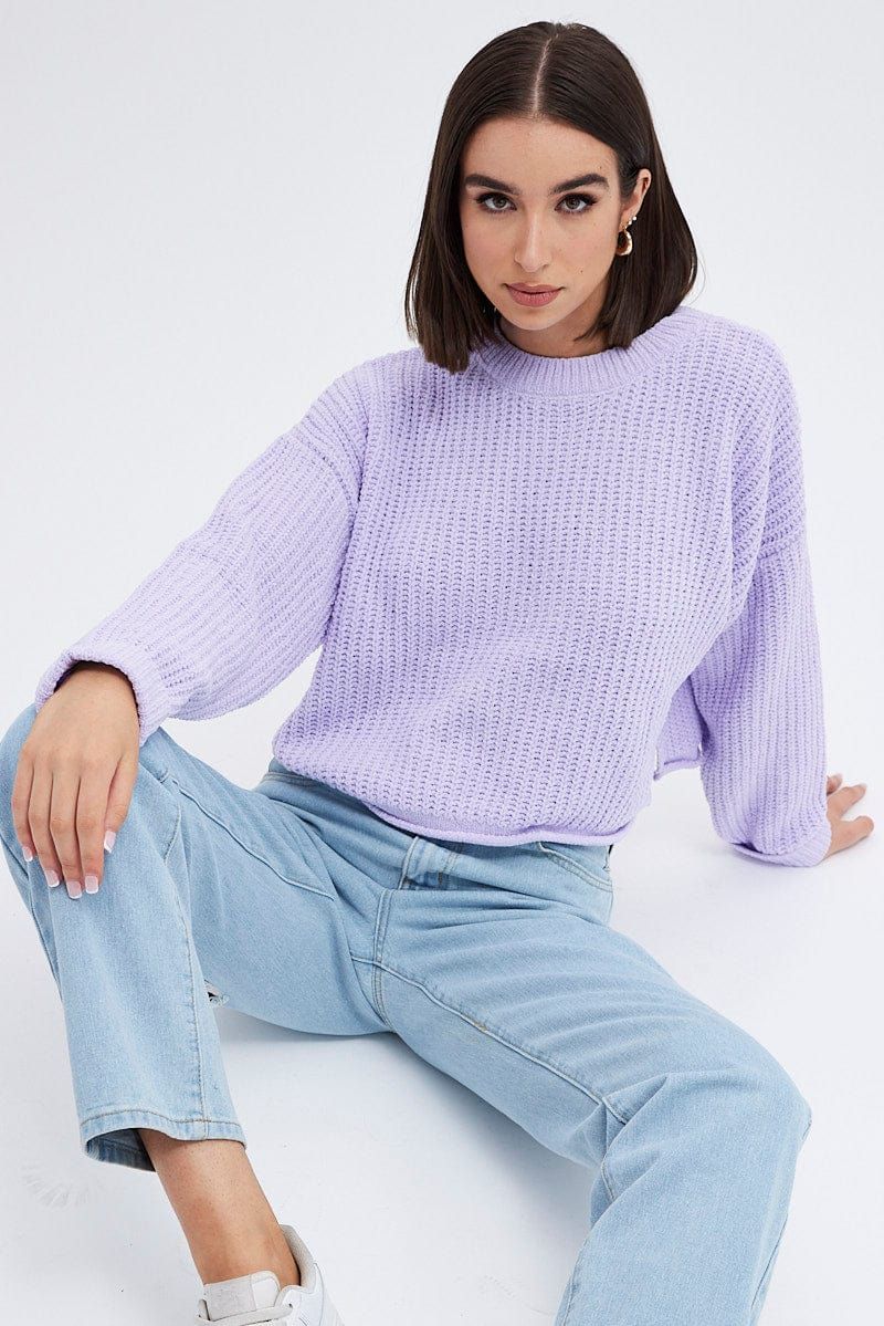 Purple Knit Jumper Round Neck Chenille sold by Ally Fashion