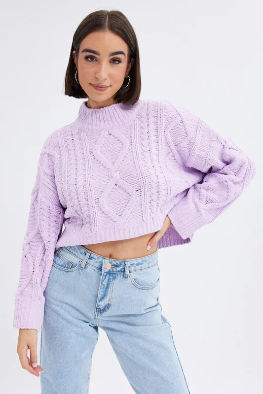 Purple Cable Knit Jumper Long Sleeve sold by Ally Fashion