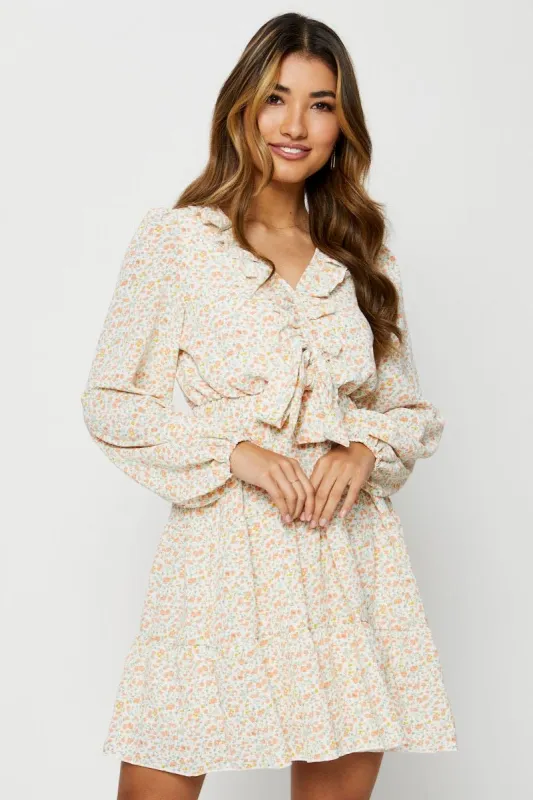 Print Mini Dress Long Sleeve sold by Ally Fashion