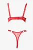 Red Ring Linked Mesh Lingerie Set sold by Ally Fashion