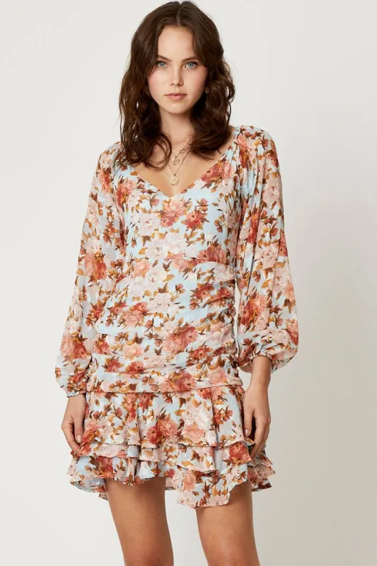 Print Long Sleeve Pleat Detail Skater Dress sold by Ally Fashion