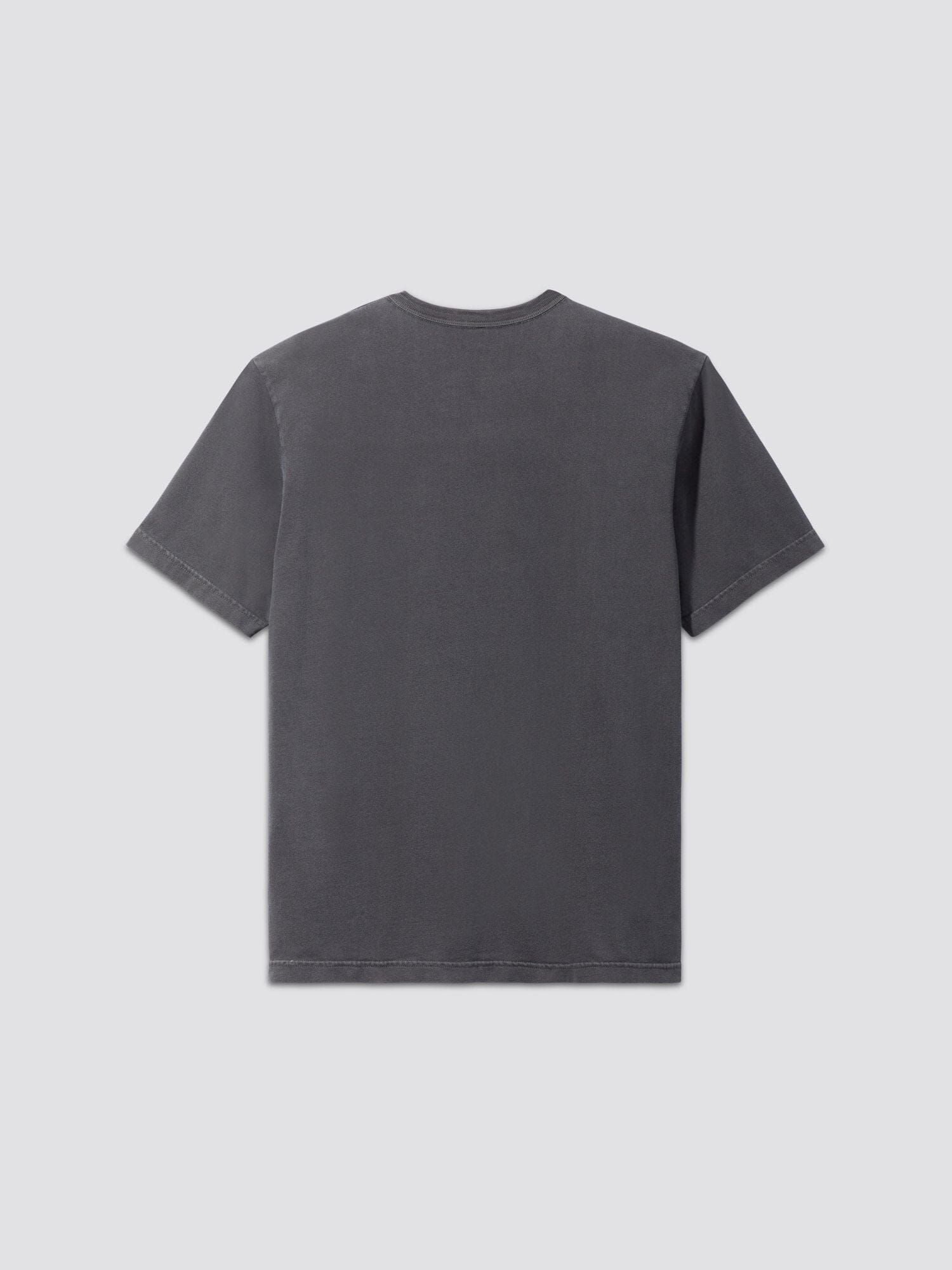 ESSENTIAL WASHED TEE (SEASONAL) sold by Alpha Industries product image thumbnail 5