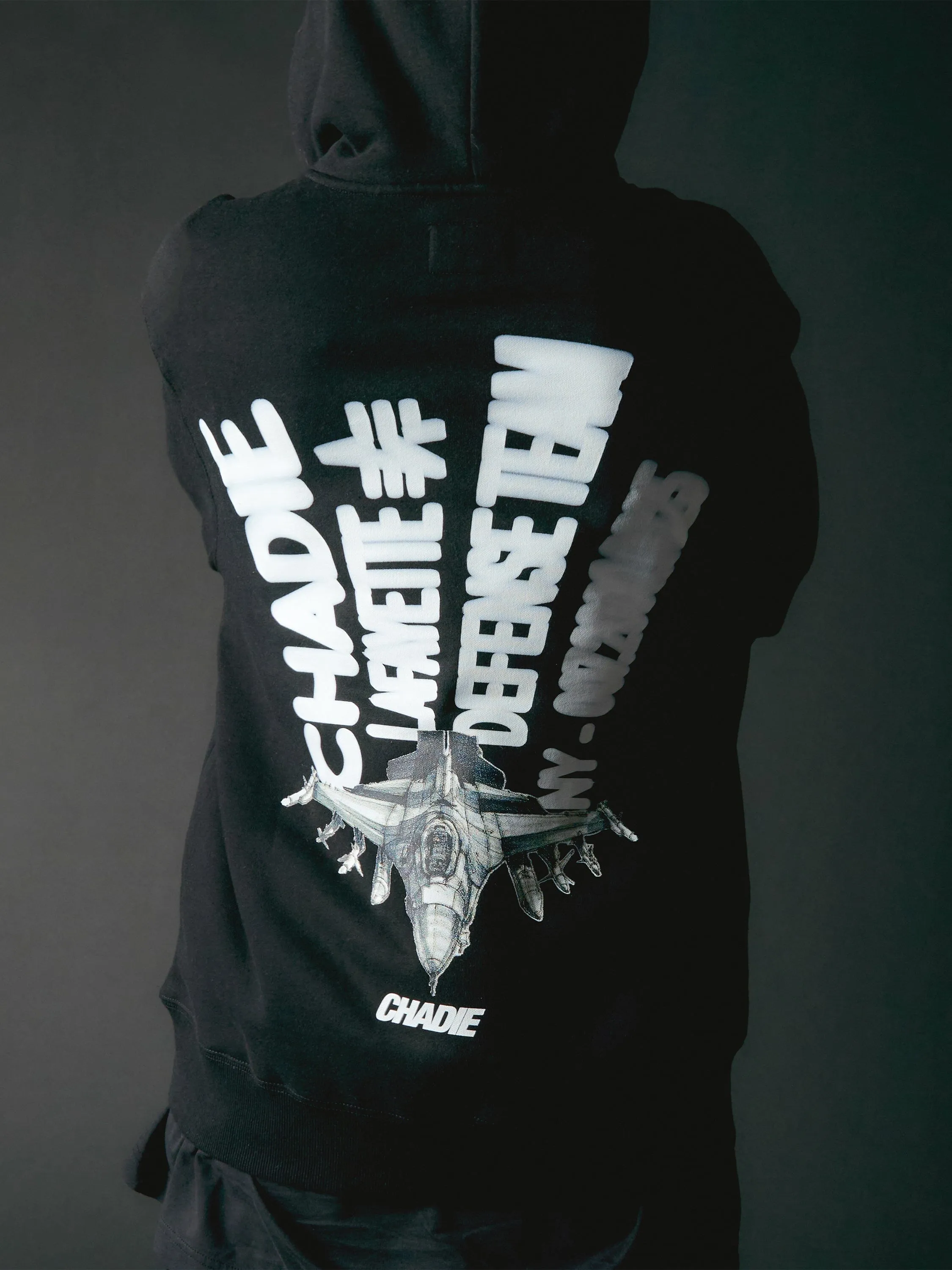 CHADIE X ALPHA JET STREAM HOODIE sold by Alpha Industries product image thumbnail 2