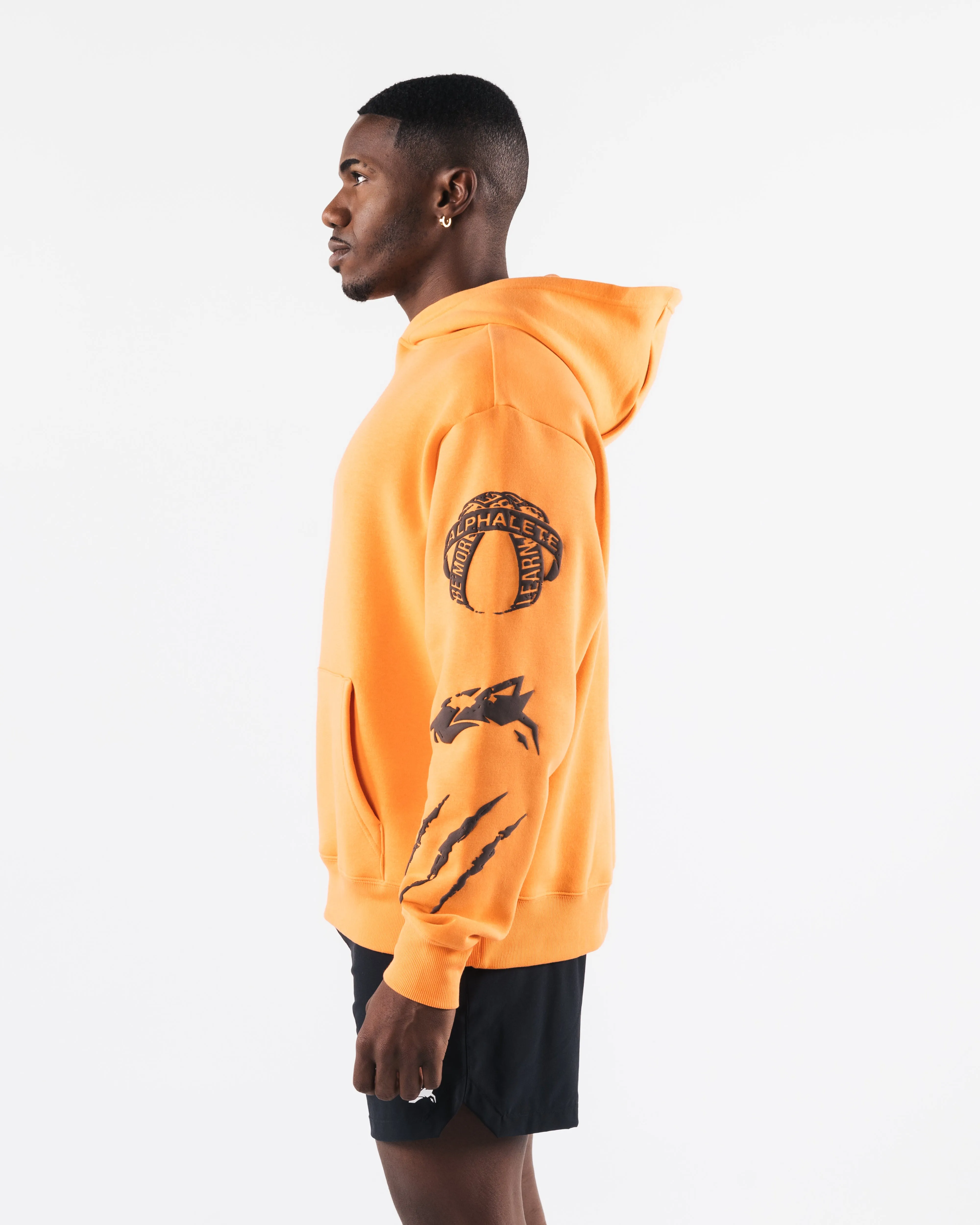 Three Pillar Hoodie - Sun Beam sold by Alphalete product image thumbnail 5