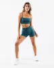 Amplify Gemini Bra - Titan sold by Alphalete