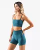 Amplify Gemini Bra - Titan sold by Alphalete