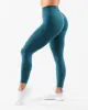 Amplify Gravity Legging - Titan sold by Alphalete