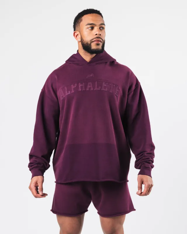 Sunfade Hoodie - Regio sold by Alphalete