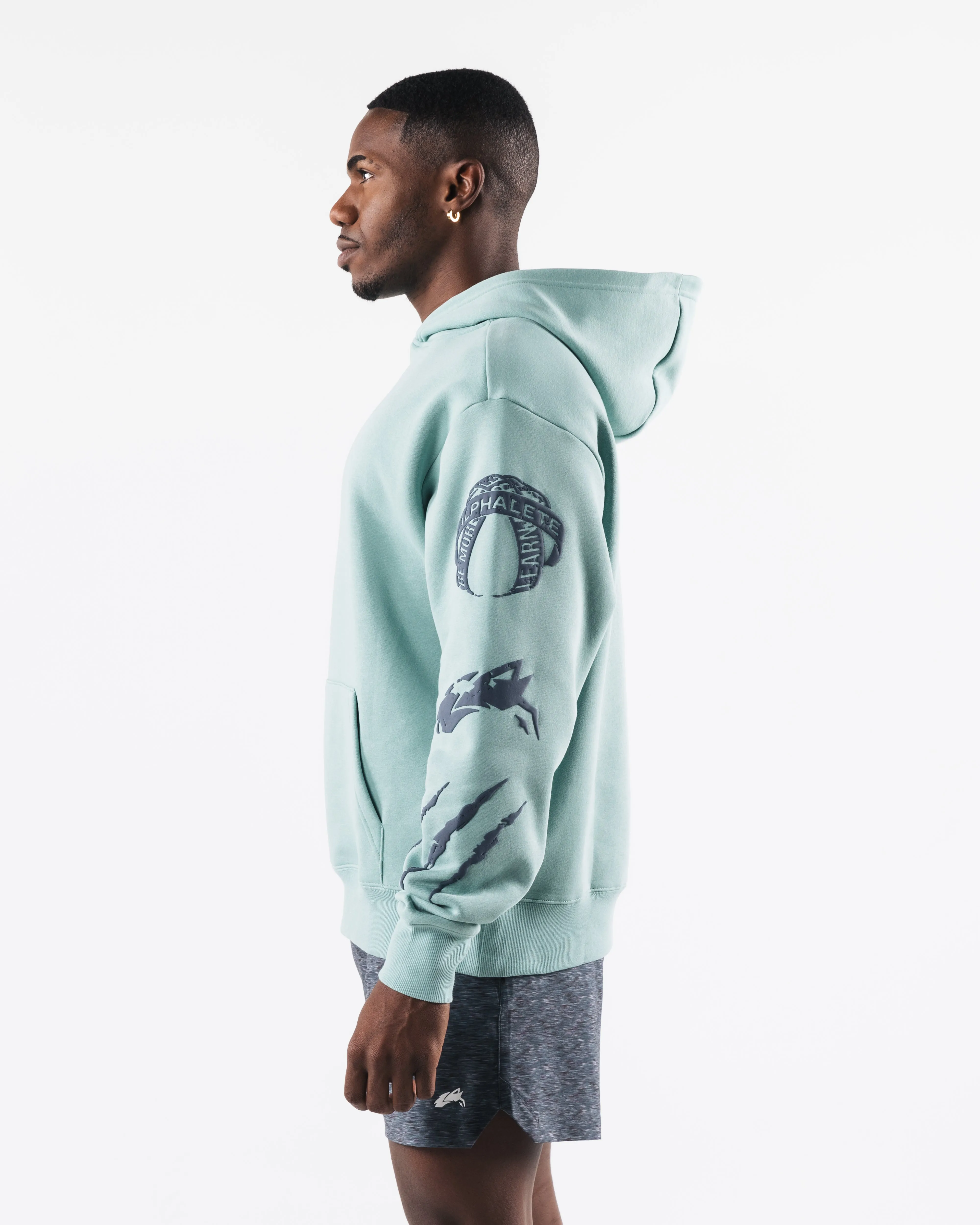 Three Pillar Hoodie - Celestial Blue sold by Alphalete product image thumbnail 5
