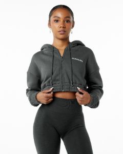 Classic Capital Full-Zip Crop Jacket - Smoke sold by Alphalete