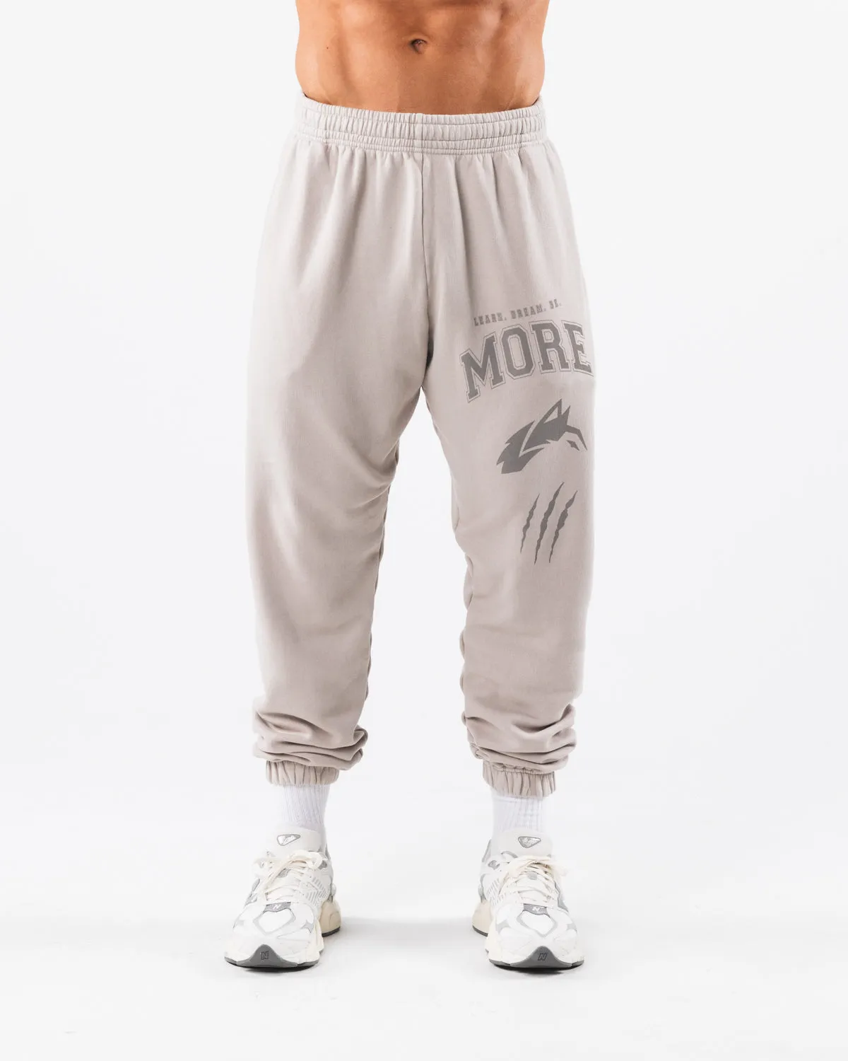 Earth Dye Graphic Jogger - Silver sold by Alphalete