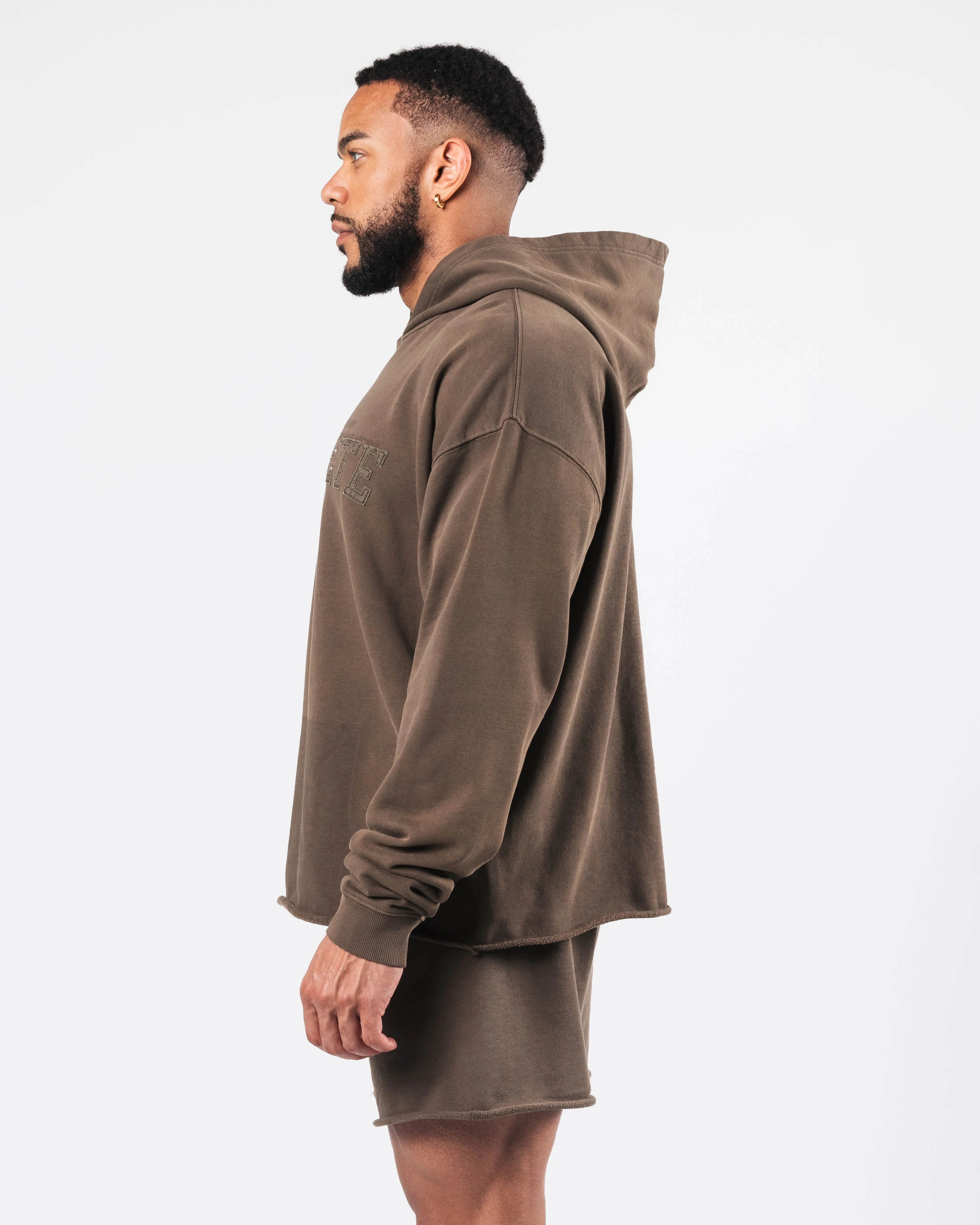 Sunfade Hoodie - Crater sold by Alphalete product image thumbnail 3
