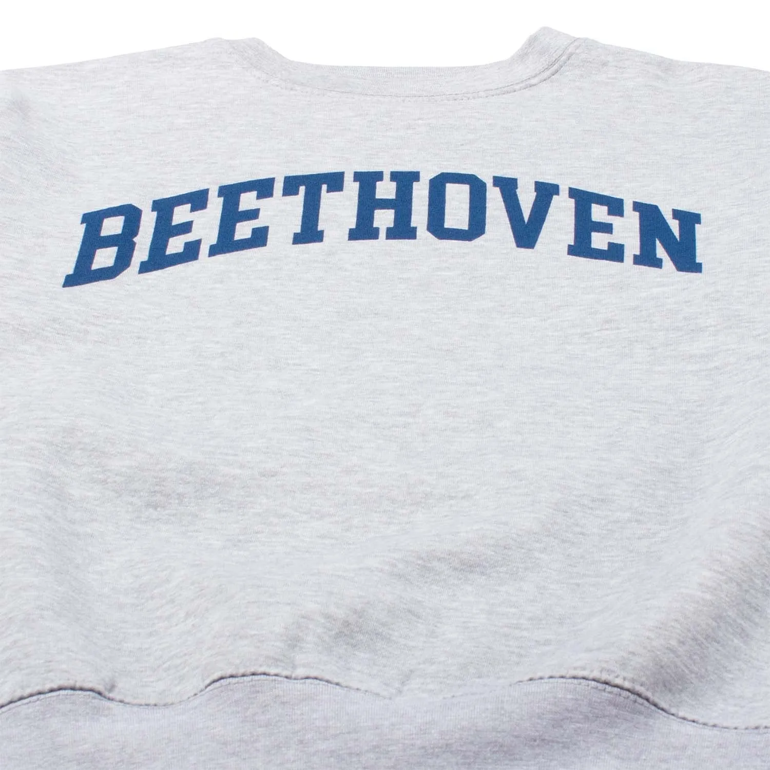 Beethoven Fleece sweatshirt sold by Altru product image thumbnail 2