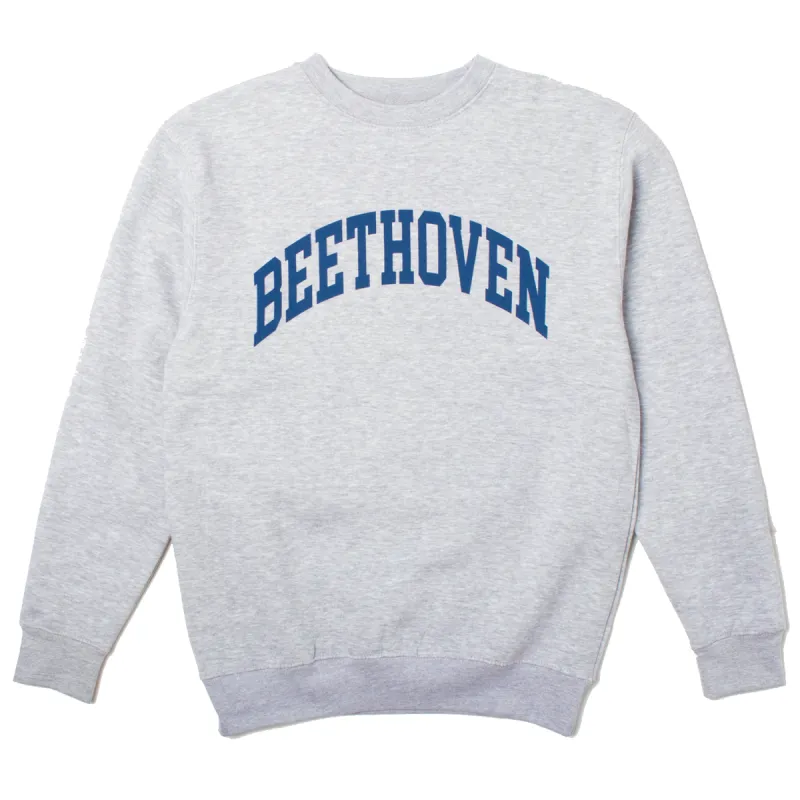 Beethoven Fleece sweatshirt sold by Altru