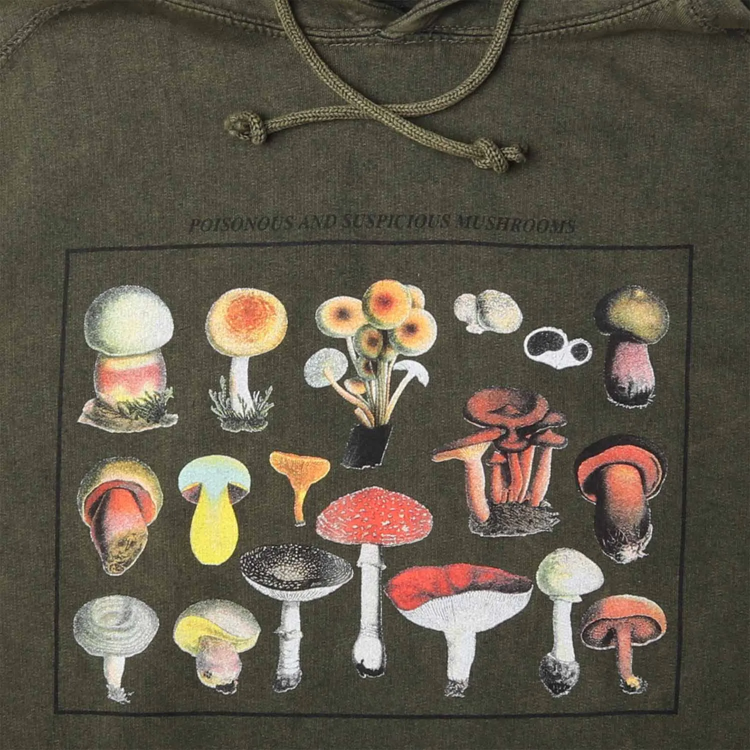 Mushroom Species Relaxed Fit Hoodie Sweatshirt sold by Altru product image thumbnail 3