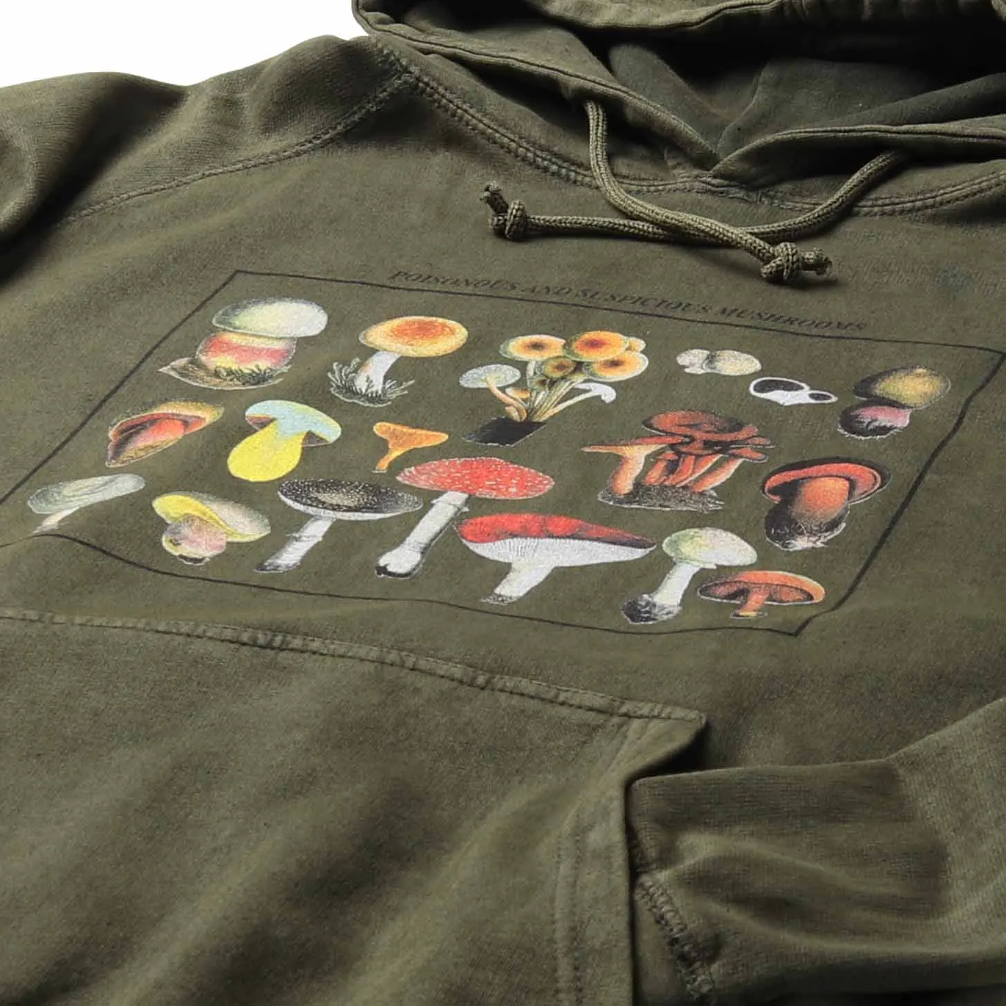 Mushroom Species Relaxed Fit Hoodie Sweatshirt sold by Altru product image thumbnail 2