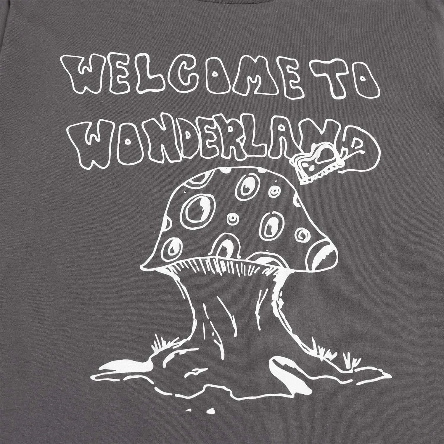 Welcome To Wonderland Tee sold by Altru product image thumbnail 3