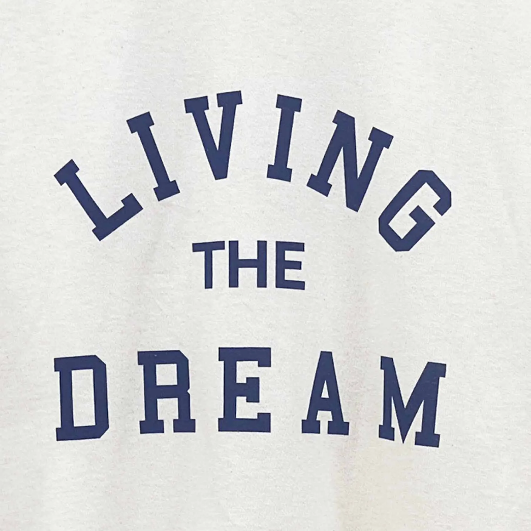 Living the Dream sold by Altru product image thumbnail 4