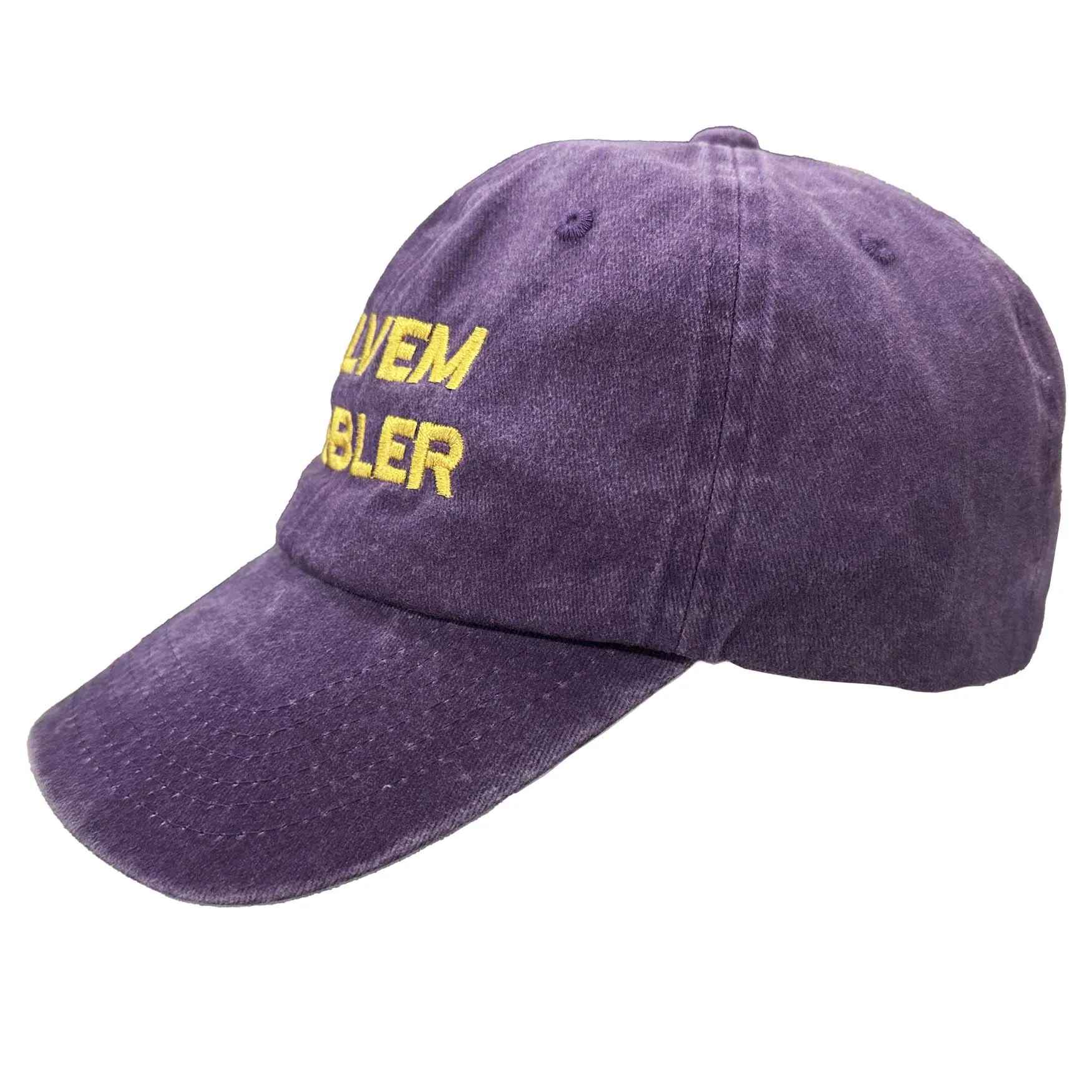 "Solvem Probler" 6 Panel Low Profile Embroidered Cap Purple sold by Altru product image thumbnail 2