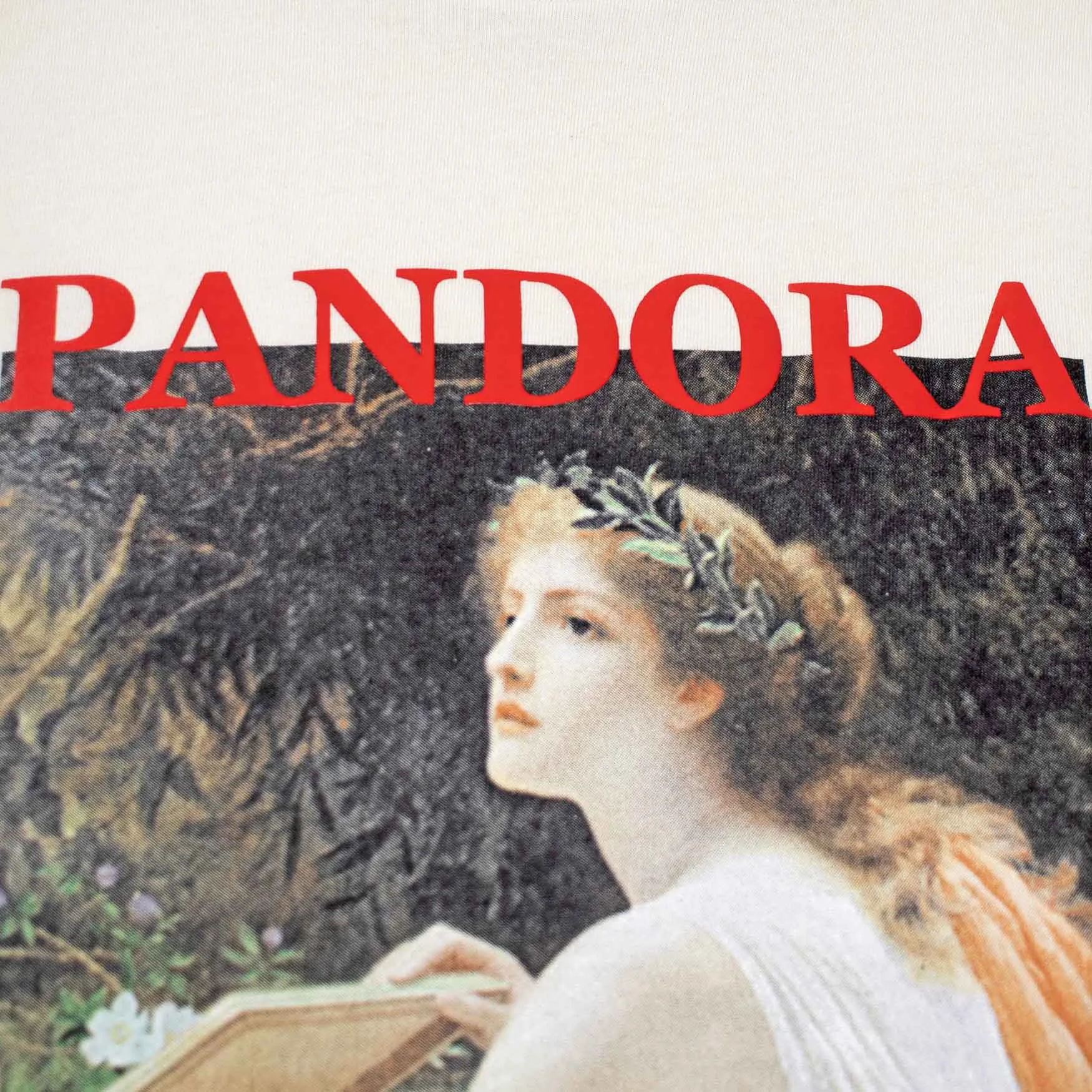 Pandora HEAVY Long Sleeve Tee sold by Altru product image thumbnail 3