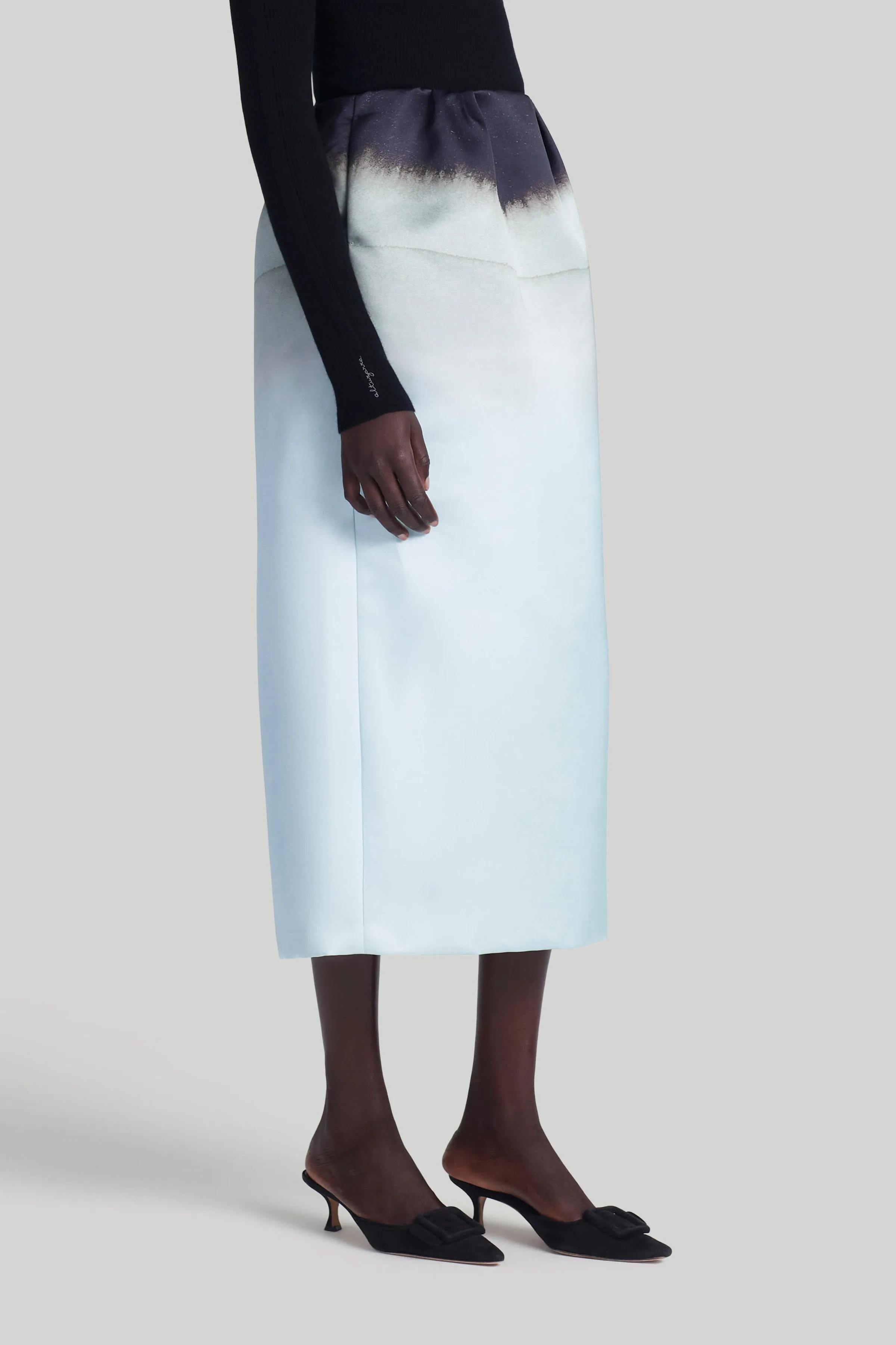 Karina Skirt sold by Altuzarra product image thumbnail 5