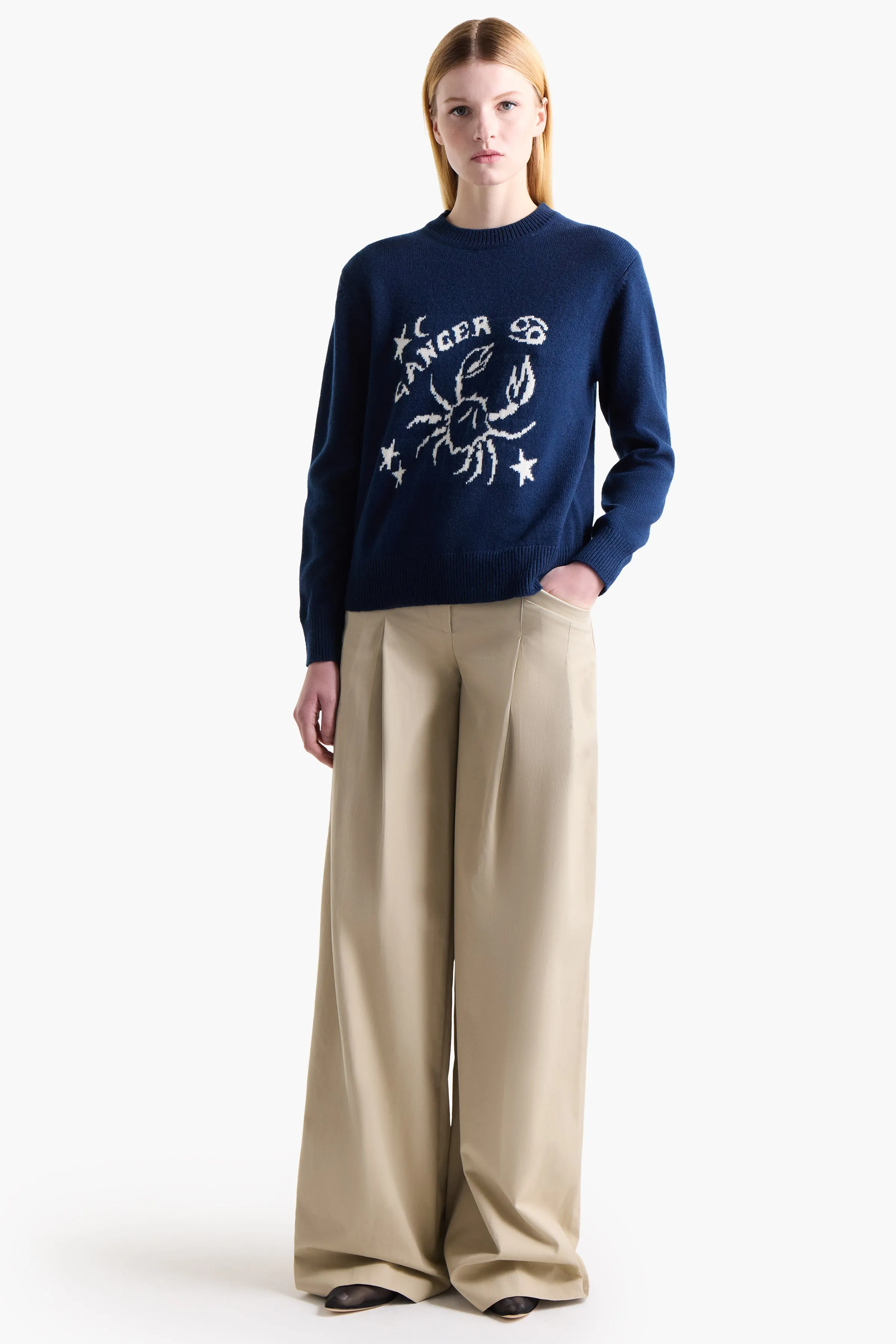 Zodiac Sweater sold by Altuzarra product image thumbnail 4