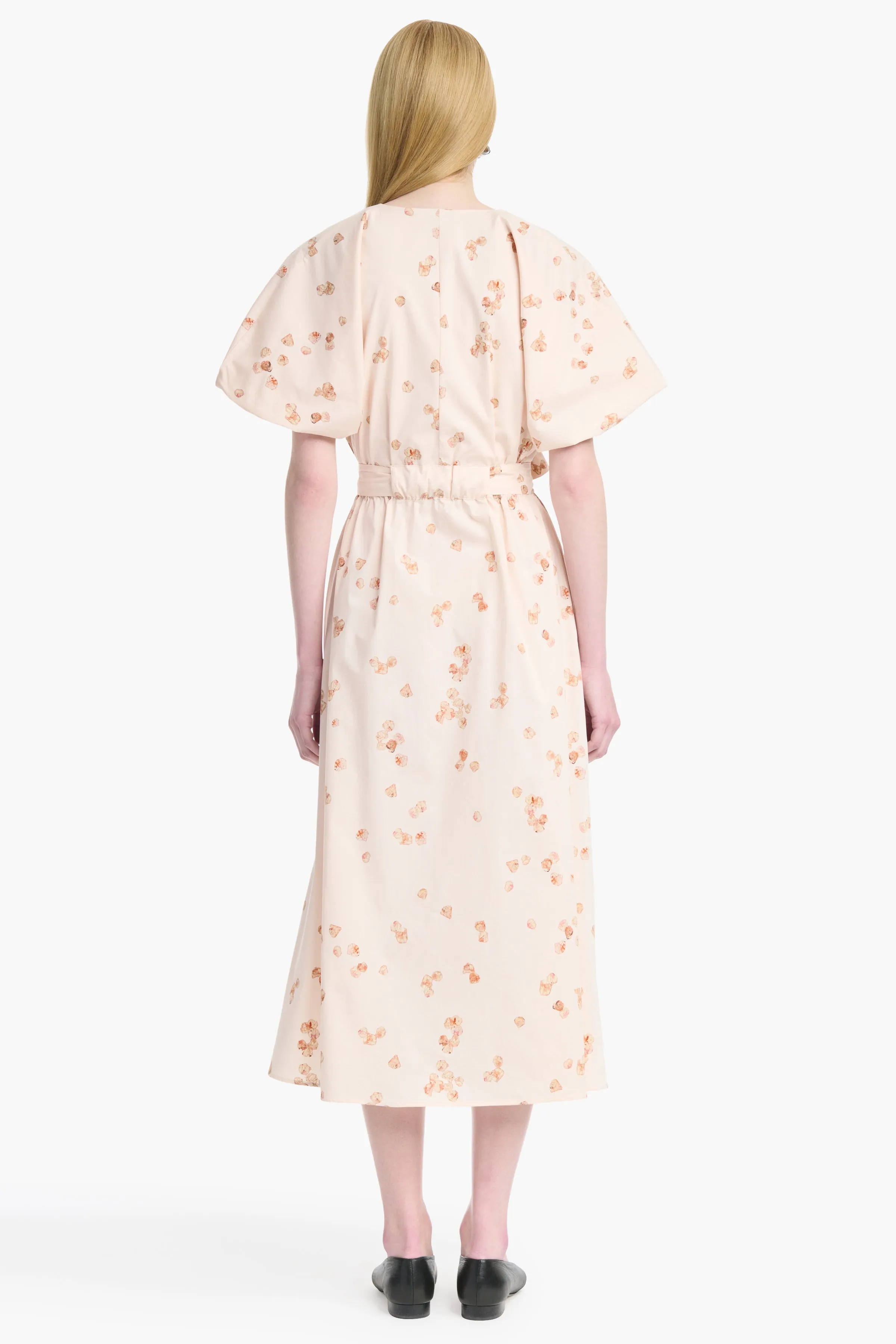 Paulina Dress sold by Altuzarra product image thumbnail 5