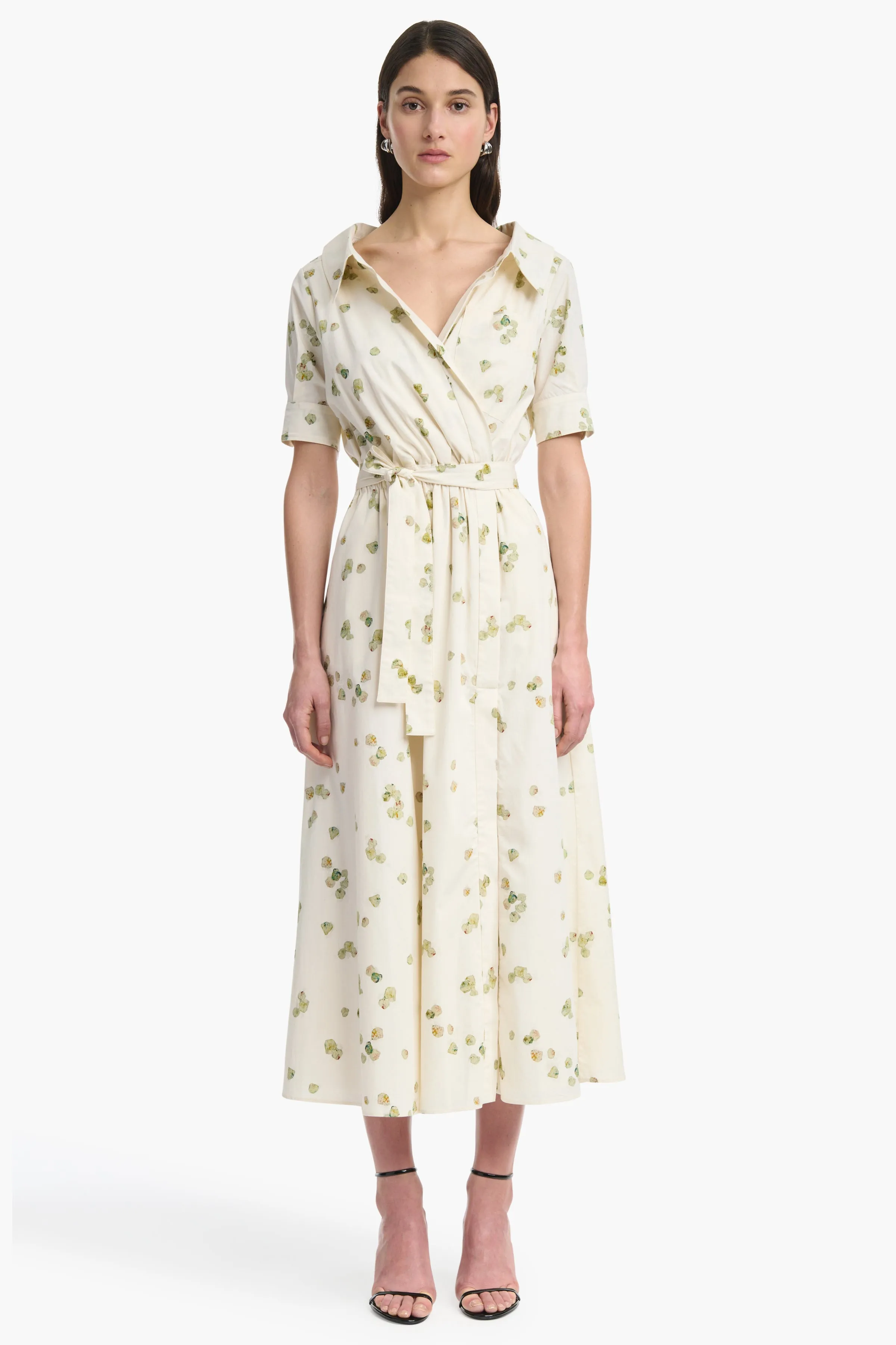 Lydia Dress sold by Altuzarra product image thumbnail 3