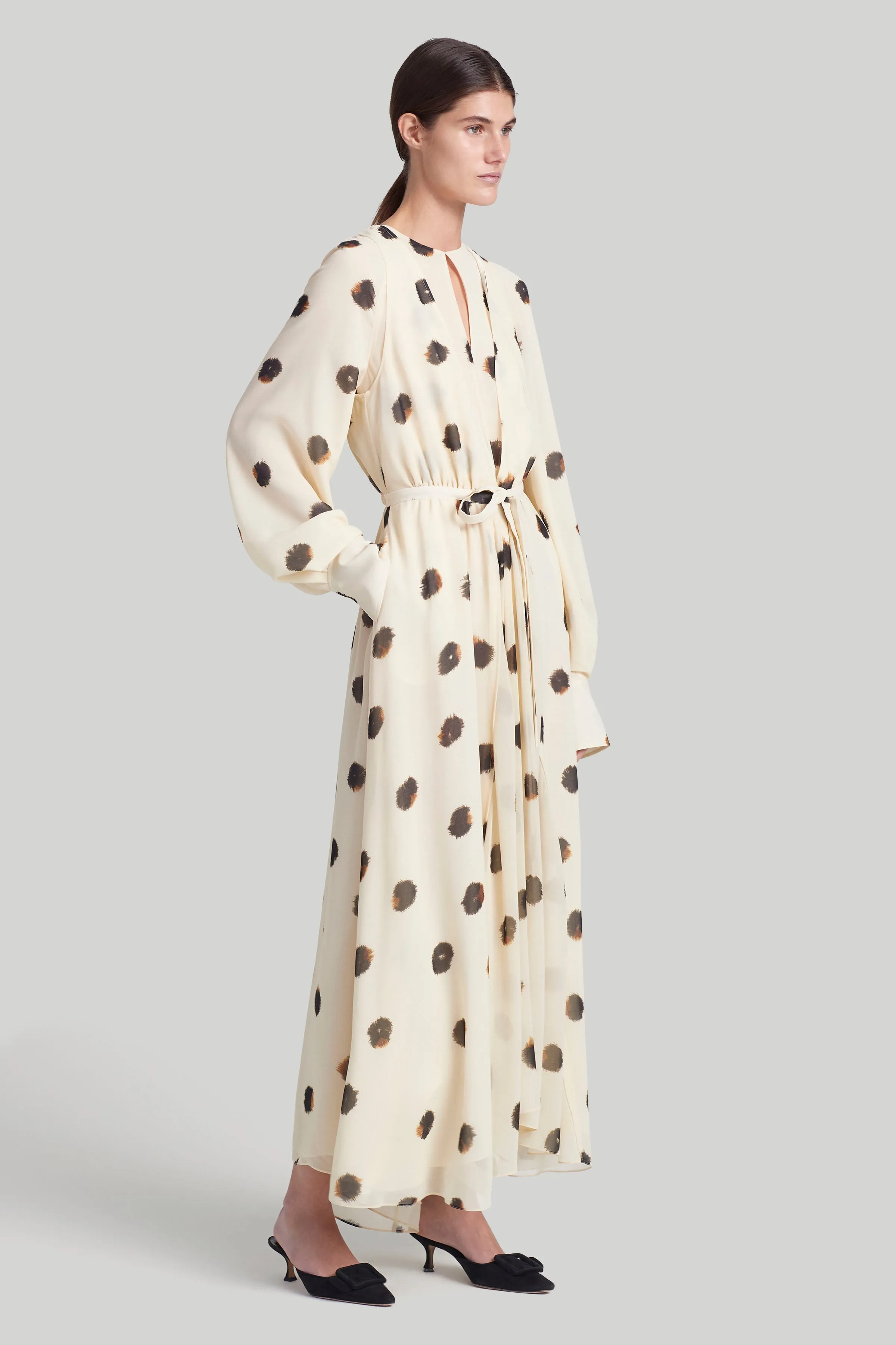 Peirene Dress sold by Altuzarra product image thumbnail 3