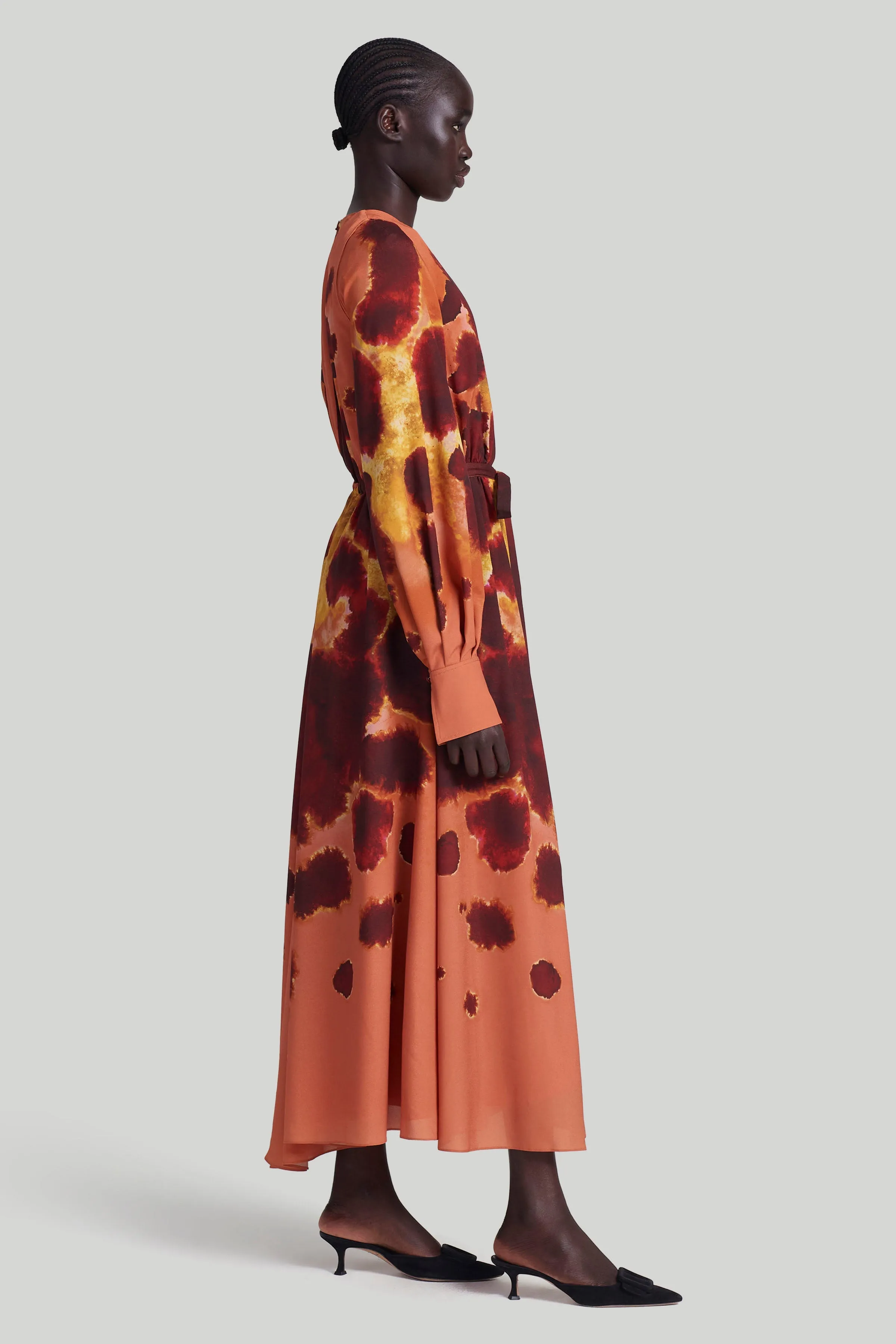 Peirene Dress sold by Altuzarra product image thumbnail 3