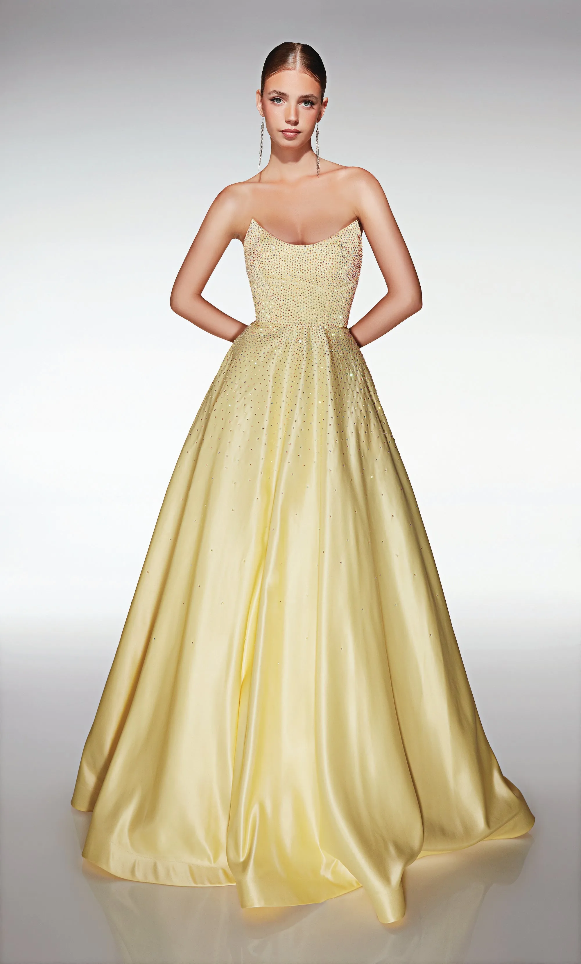 ALYCE Paris 411 Scoop Neckline Embellished A Line Dress sold by Alyce Paris