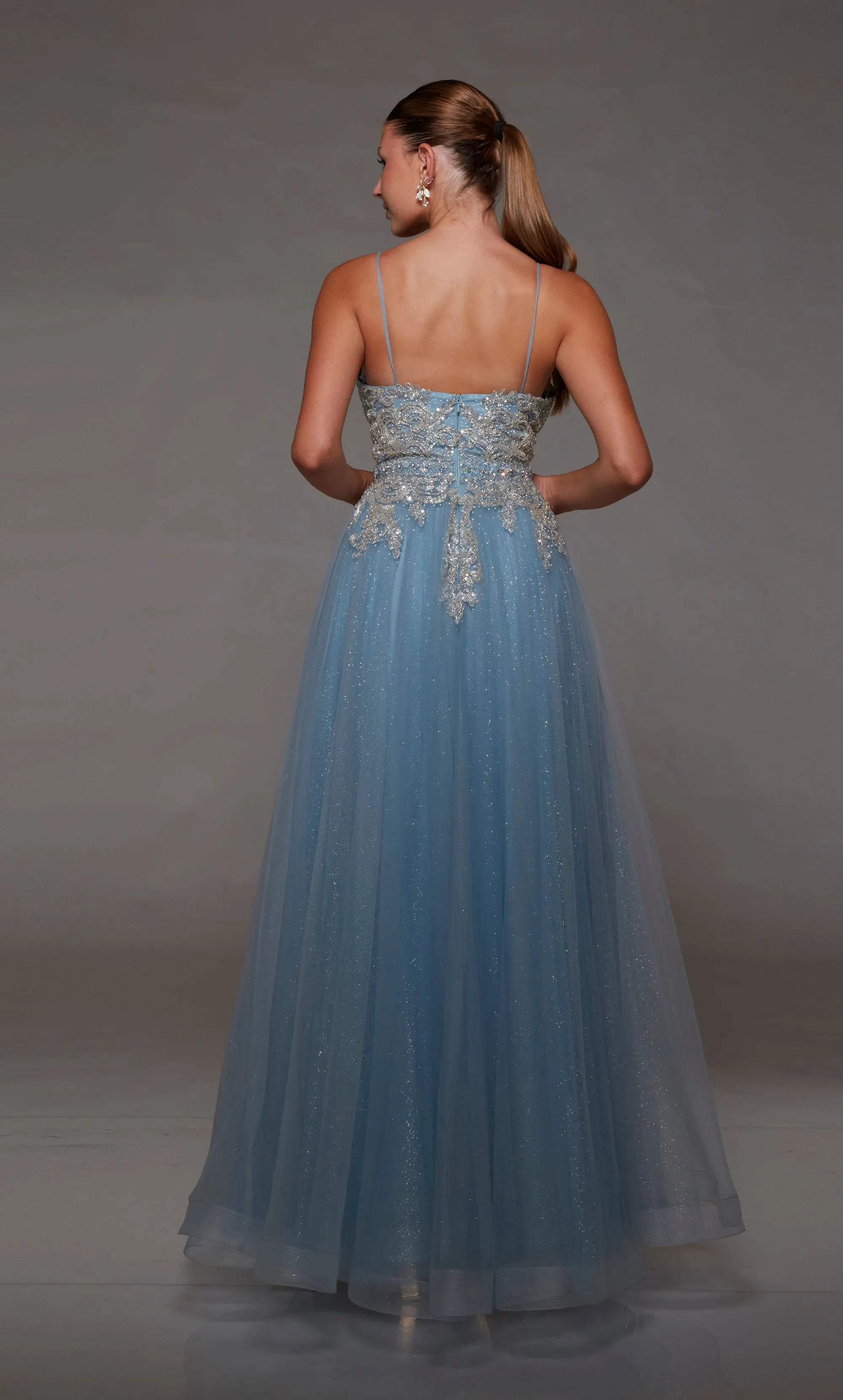 Formal Dress: 1809. Long, V-neckline, A-line, Closed Back sold by Alyce Paris product image thumbnail 2