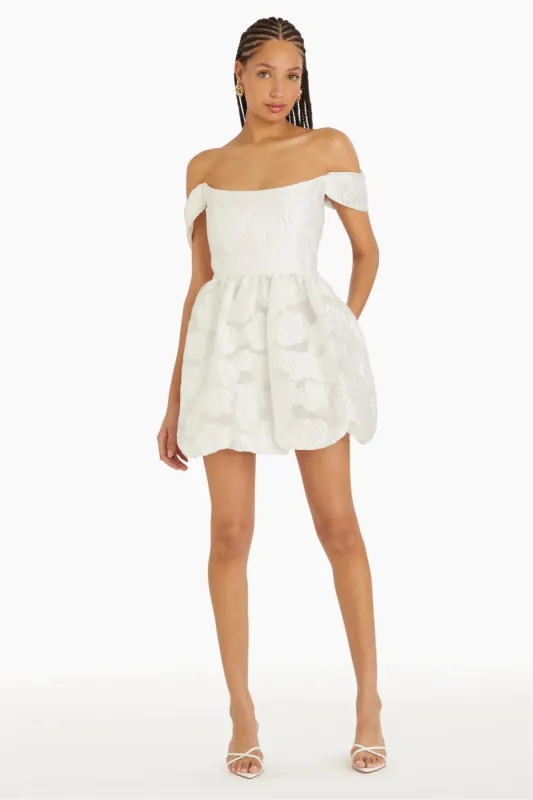 Valentina Dress in Jacquard sold by Amanda Uprichard