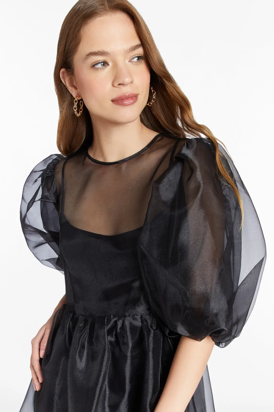 Diem Mini Dress in Organza sold by Amanda Uprichard product image thumbnail 2