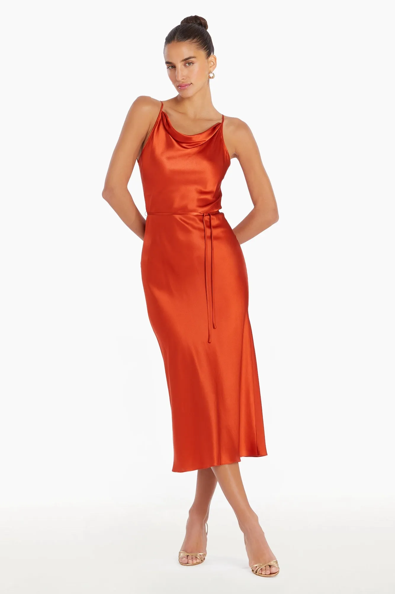 Shaelyn Silk Dress sold by Amanda Uprichard product image thumbnail 2