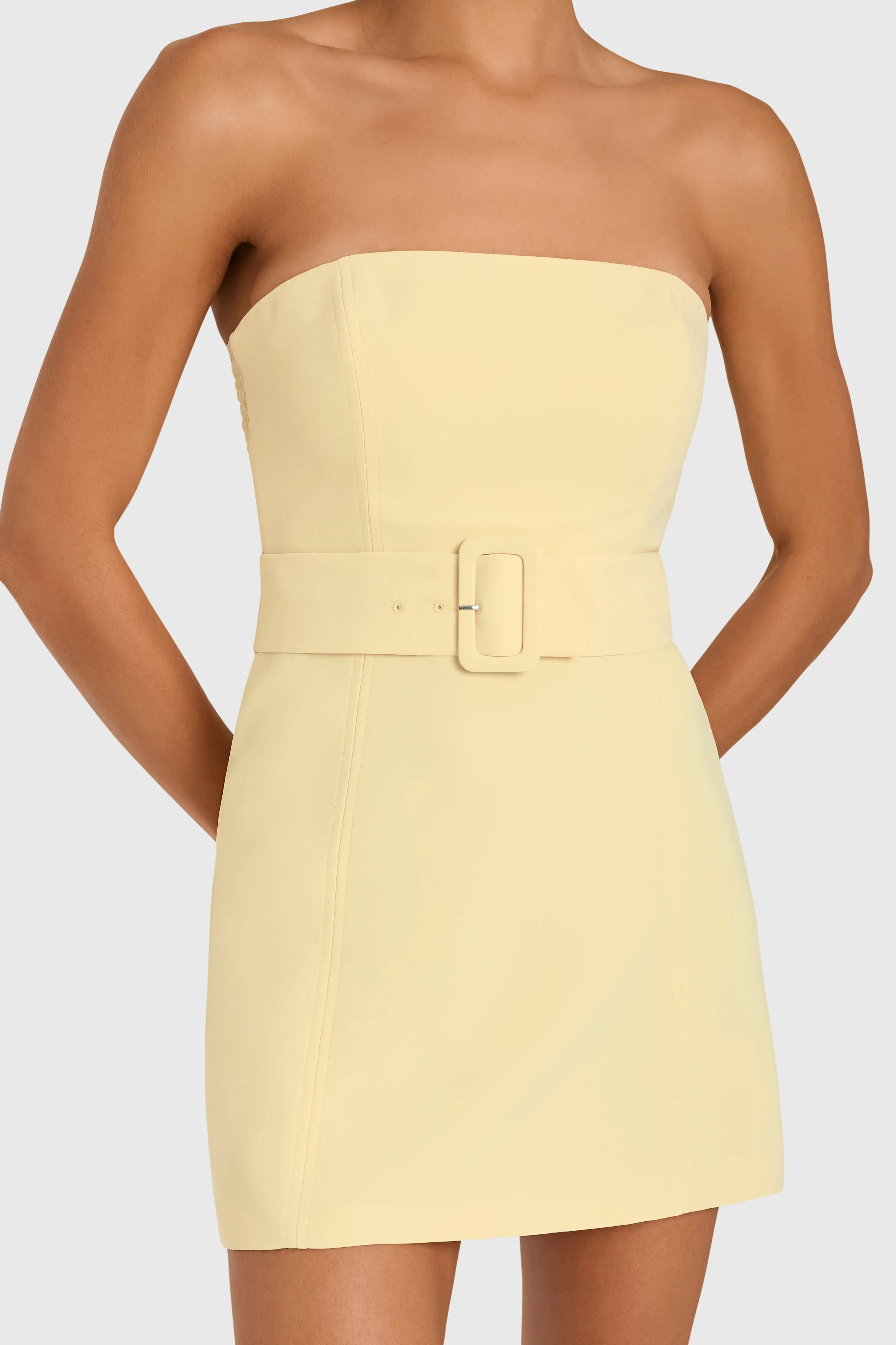 Fae Dress sold by Amanda Uprichard product image thumbnail 4