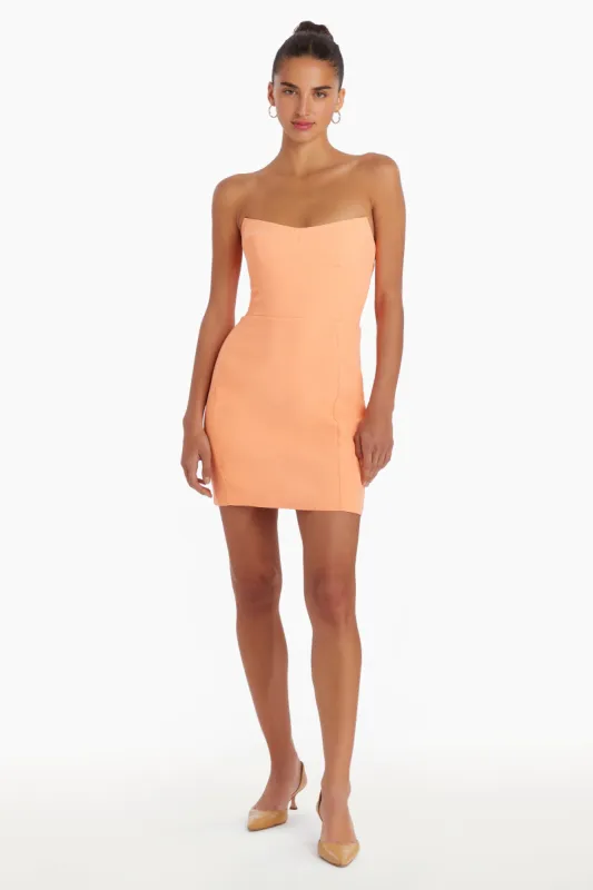 Ivy Mini Dress sold by Amanda Uprichard