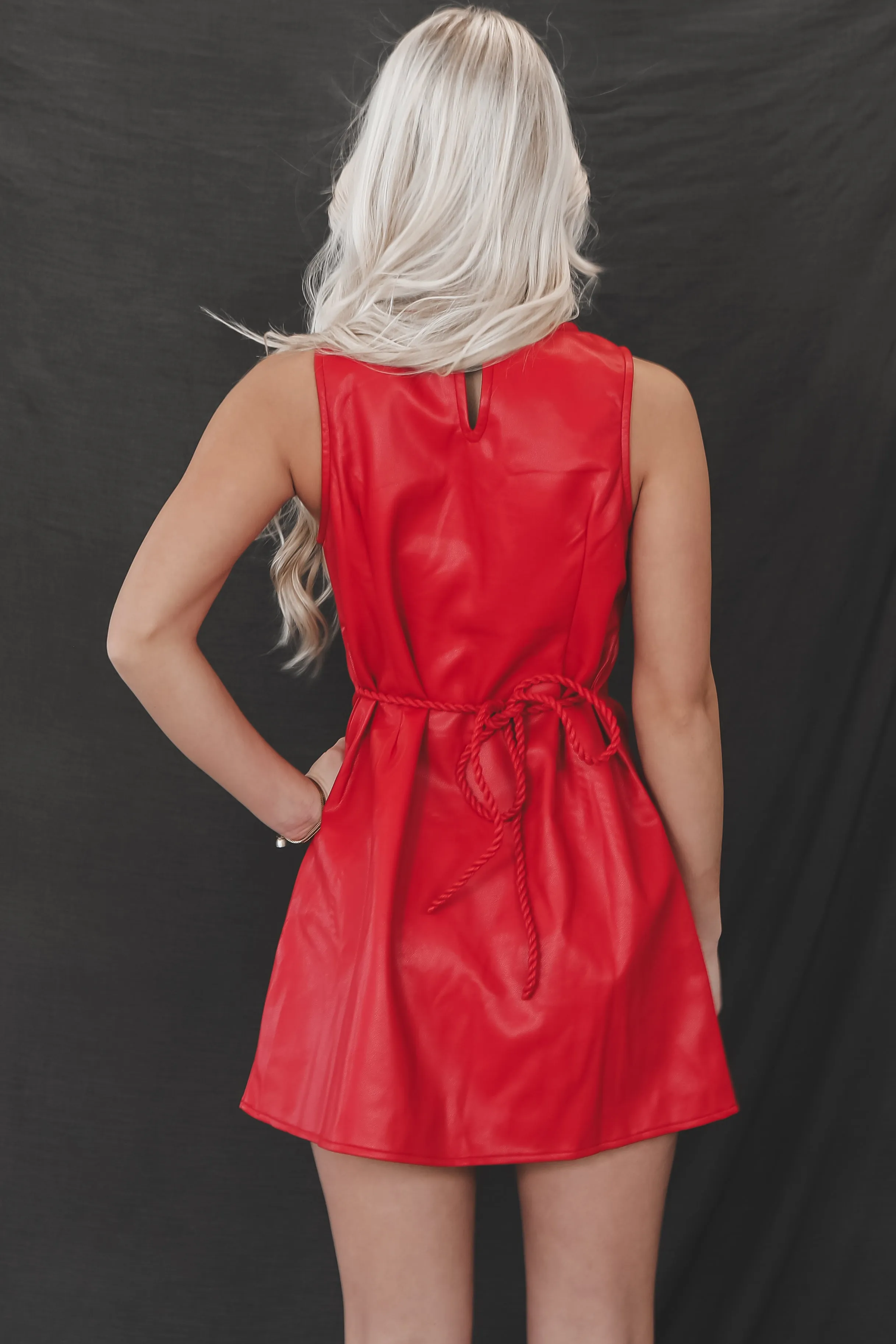 A Standout Red Vegan Leather Dress sold by Amazing Lace product image thumbnail 5