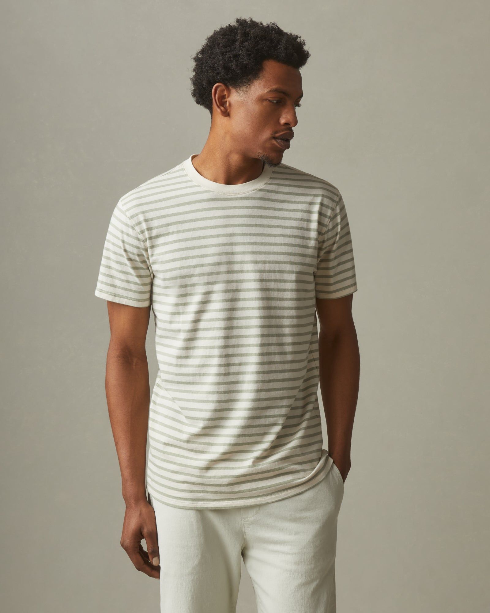 Classic Cotton Crew Tee Striped - Turtledove / Eucalyptus sold by American Giant