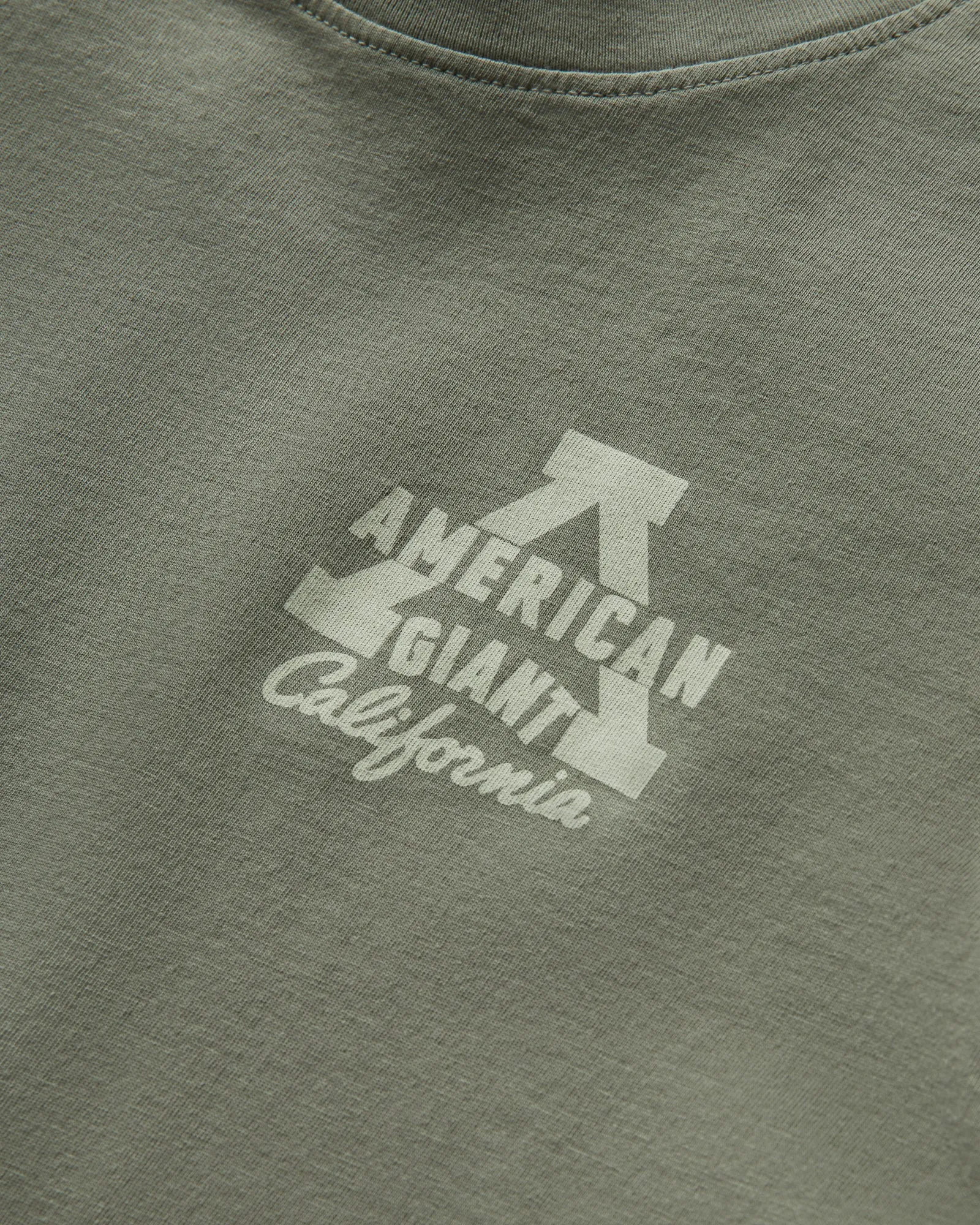 Women's Classic Cotton Graphic Tee - Mulled Basil sold by American Giant product image thumbnail 3