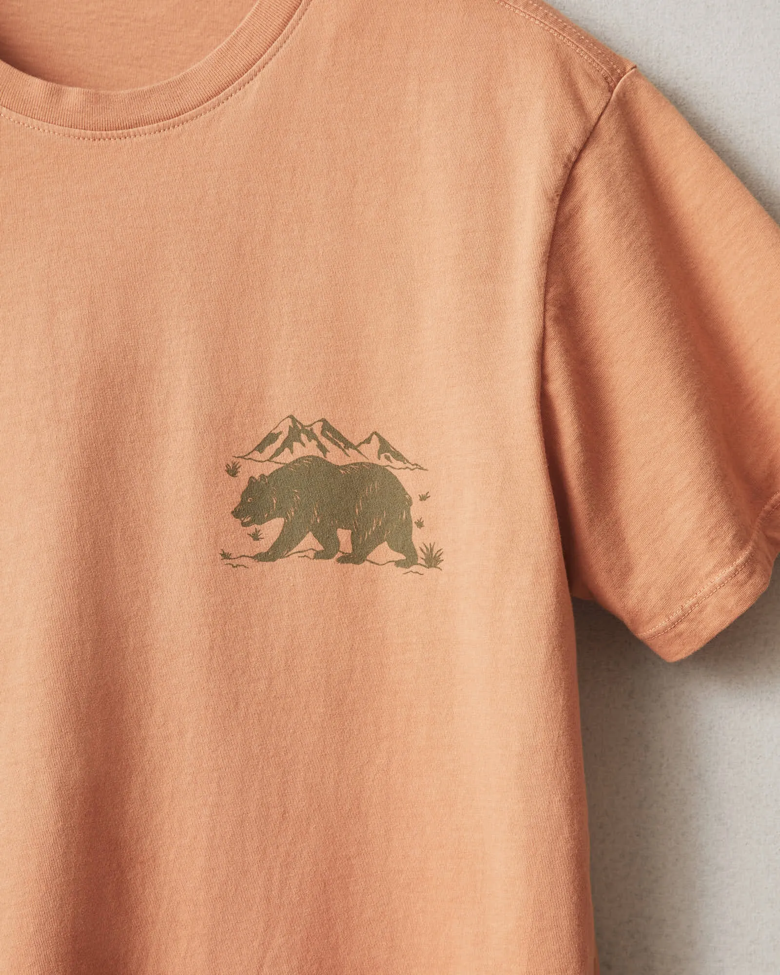 Classic Cotton Crew Tee Regional - West sold by American Giant product image thumbnail 2