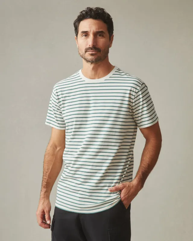 Classic Cotton Crew Tee Striped - Sagebrush Green Stripe sold by American Giant