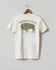Classic Cotton Crew Tee Regional - Midwest sold by American Giant